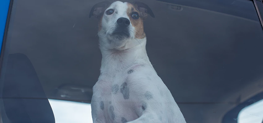 Car Lockout Solutions in Bonadelle Ranchos-Madera Ranchos, California